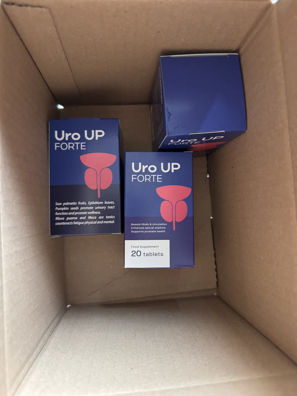 photo_2024-10-14 15.03.34